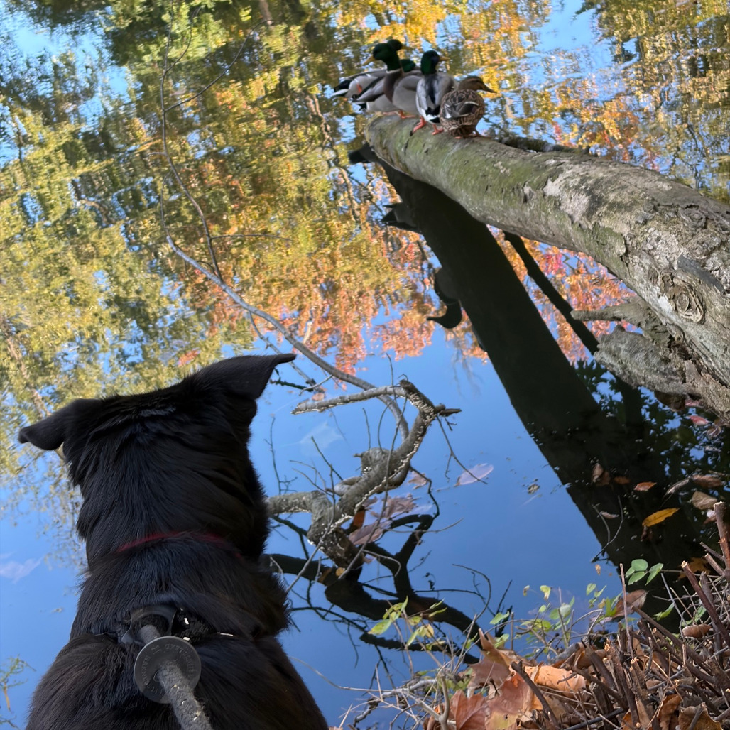 Daisy Jo, photo 20