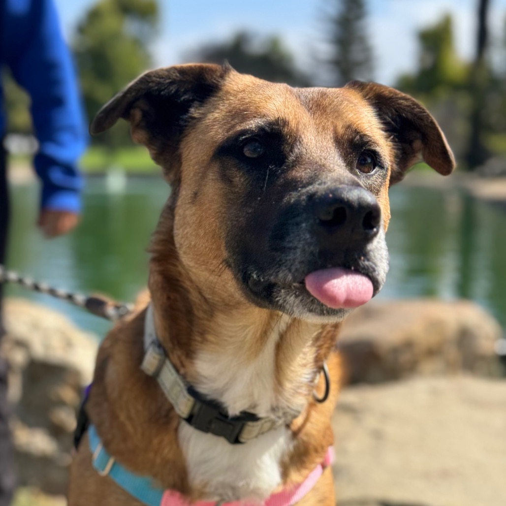 Bubz, photo 19