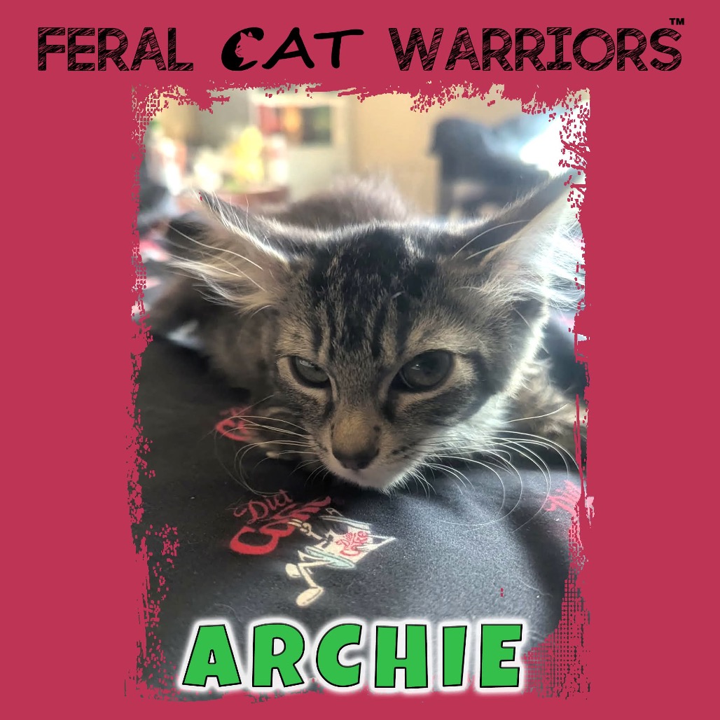 Archie 