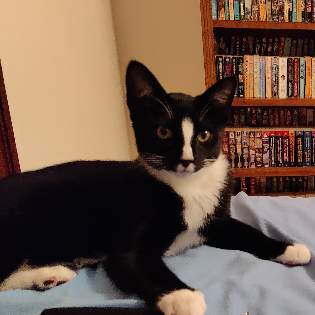 Vanilla Ice — thumbnail 5