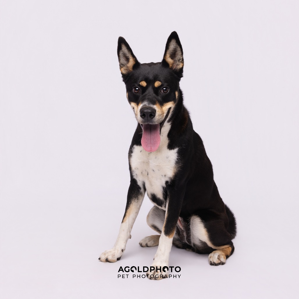 Luna — thumbnail 4