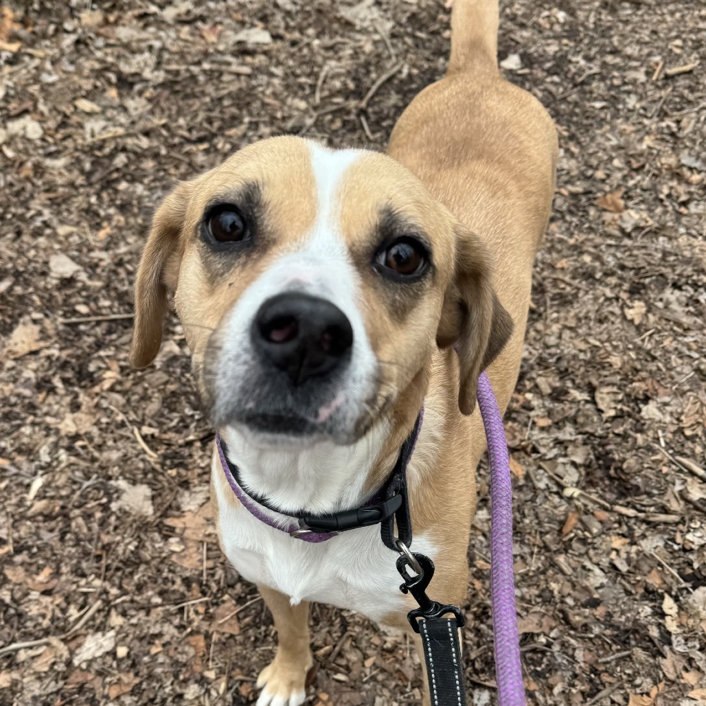 Makima — thumbnail 7