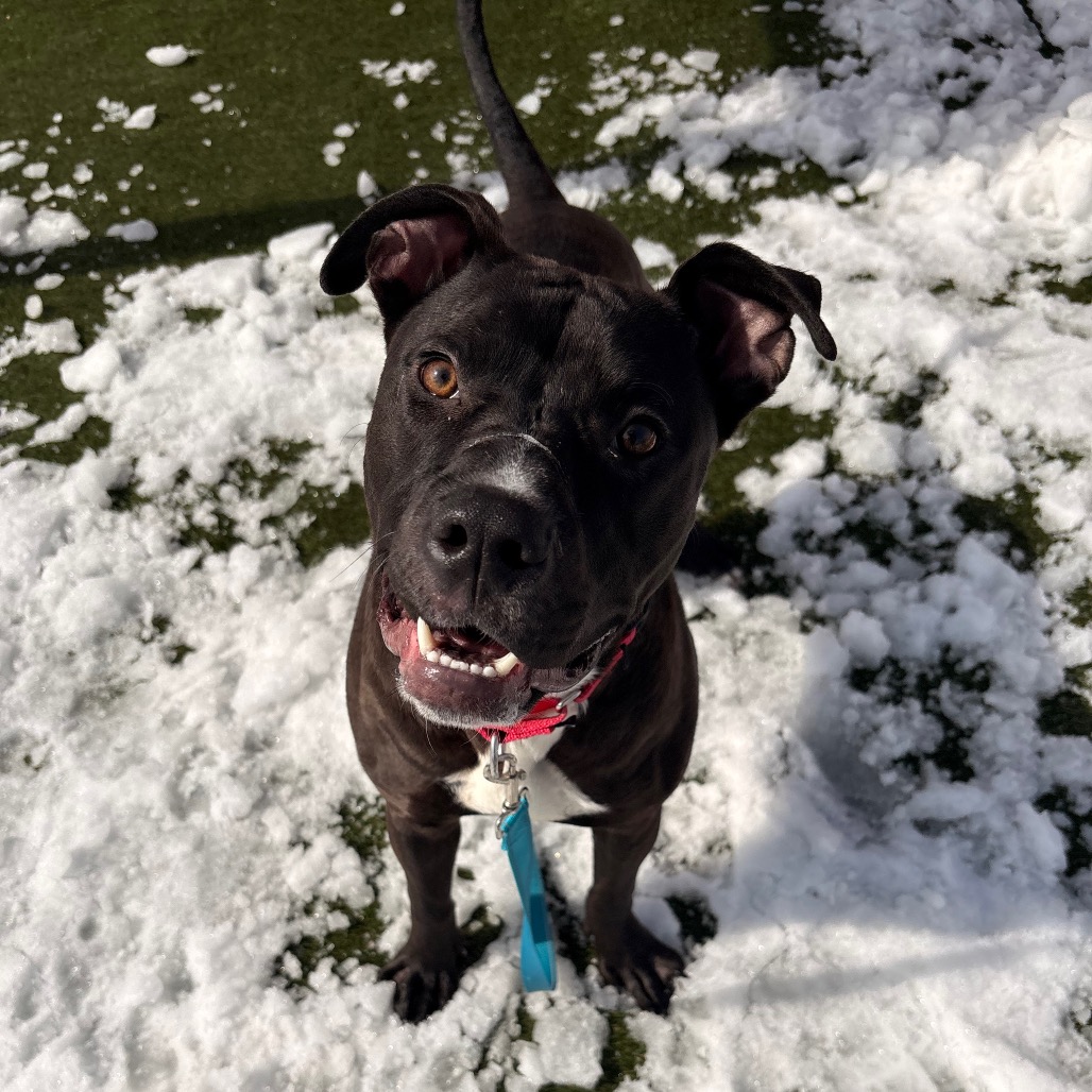 Barnacle — thumbnail 4