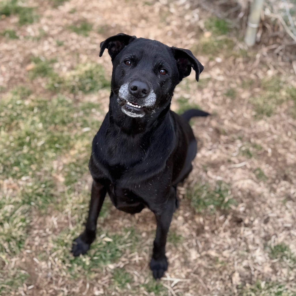 Journey — thumbnail 2