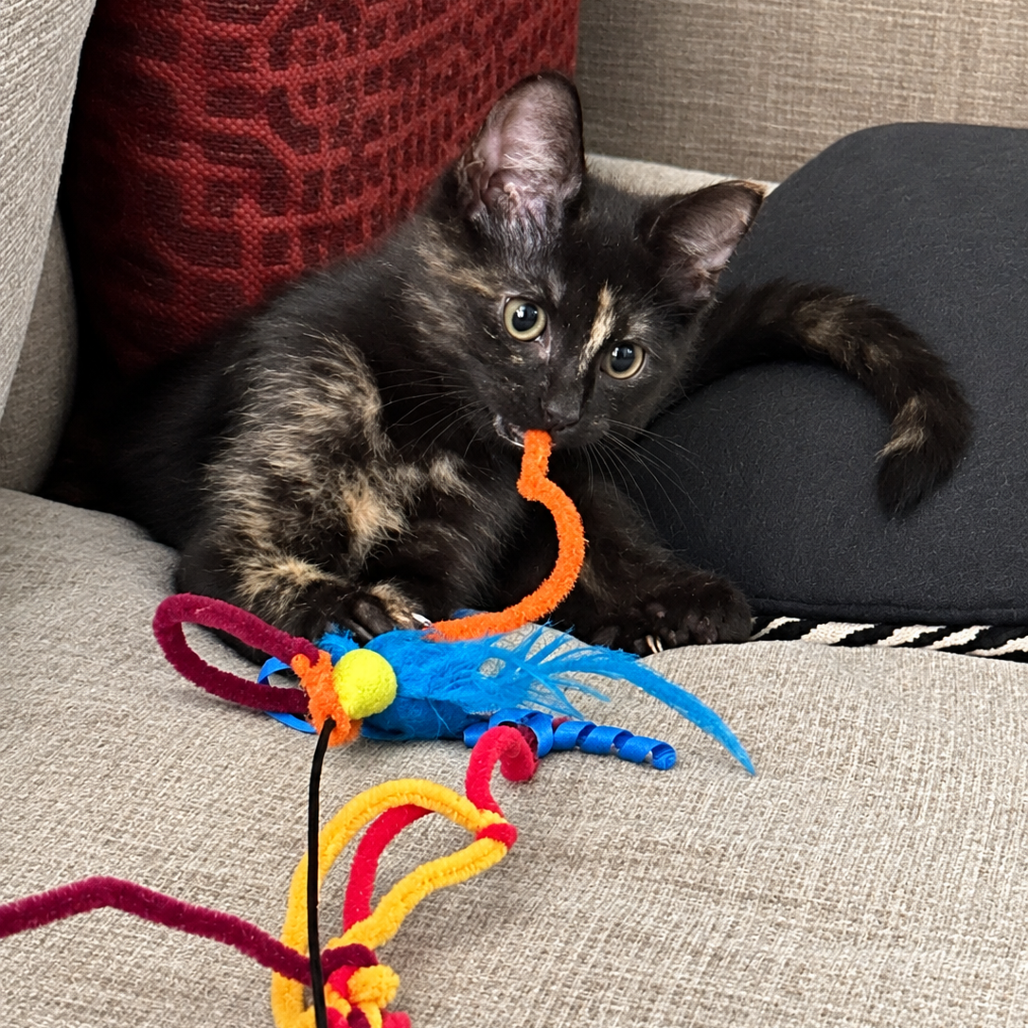 Ethel, photo 2