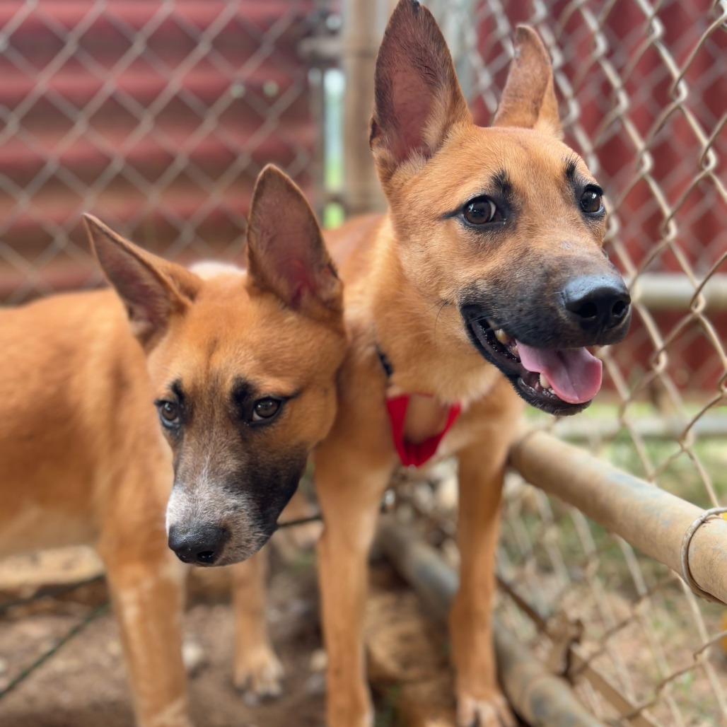 Rain — thumbnail 8