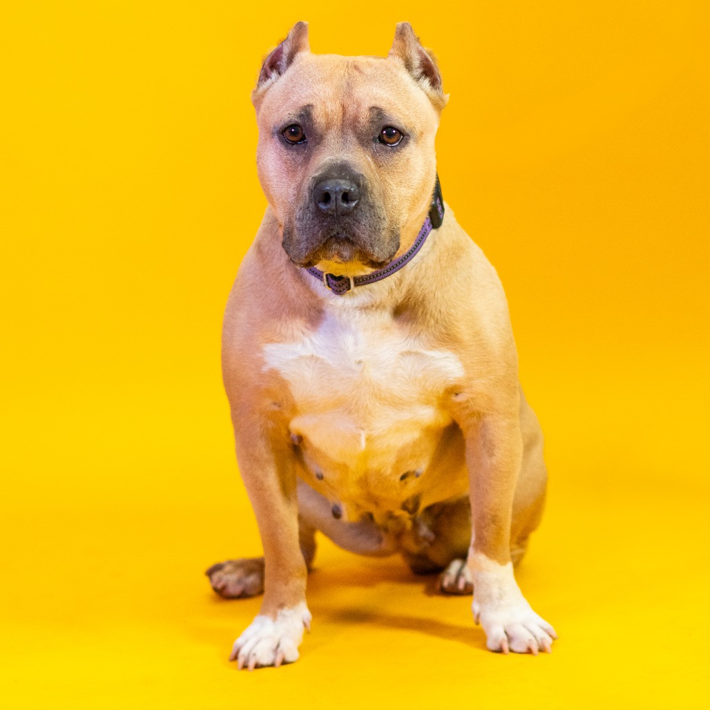 Lulu, additional photo