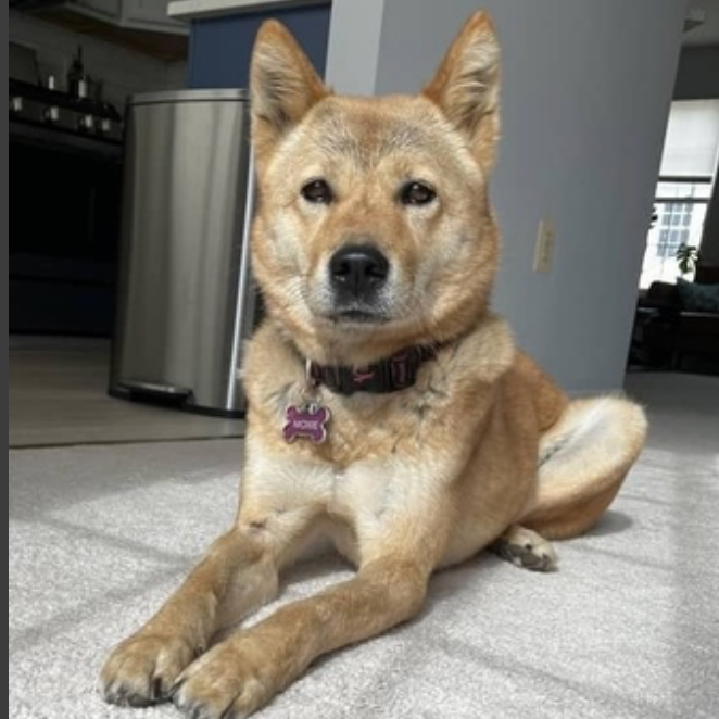 Moxie, photo 7