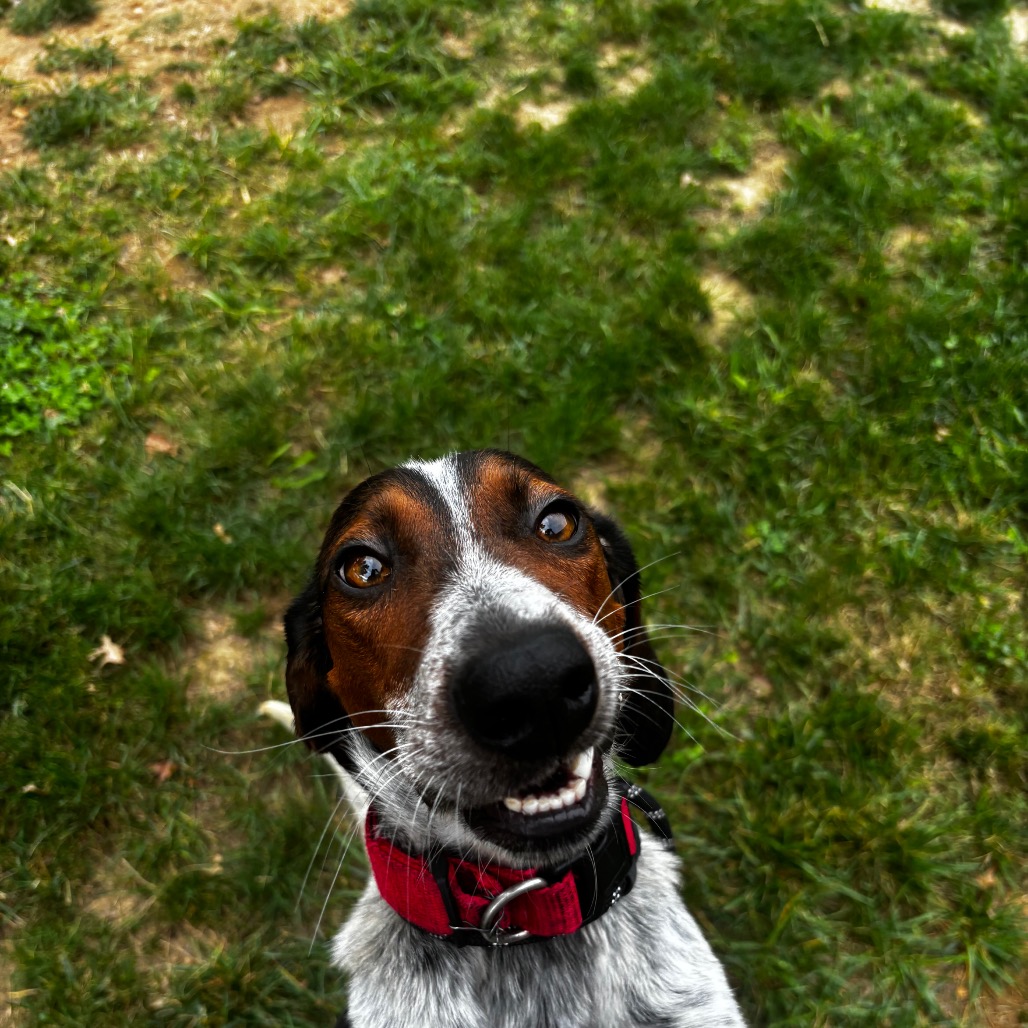 Happy, photo 13