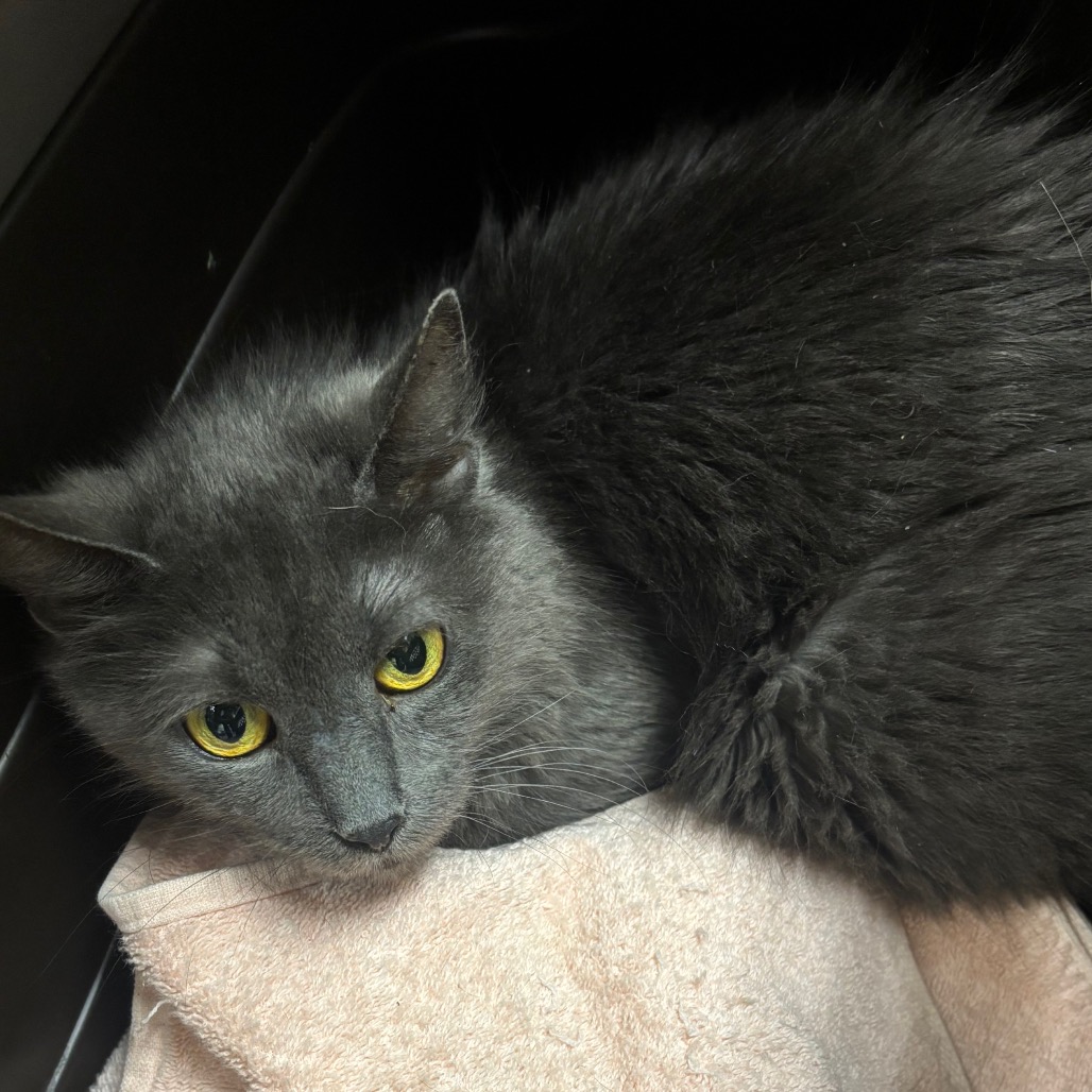 0792e3569160c9198fd7dc3264184427