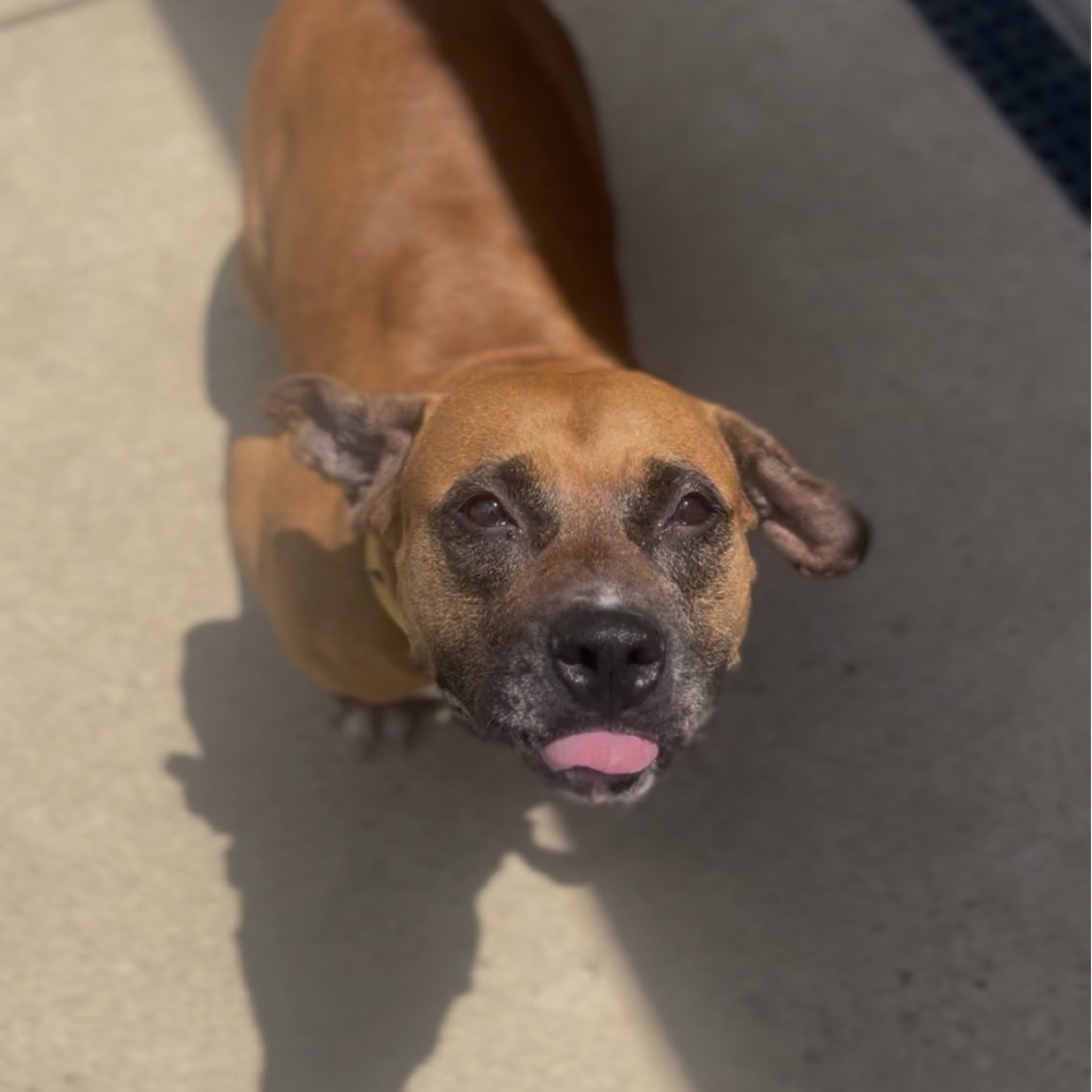 Betty
