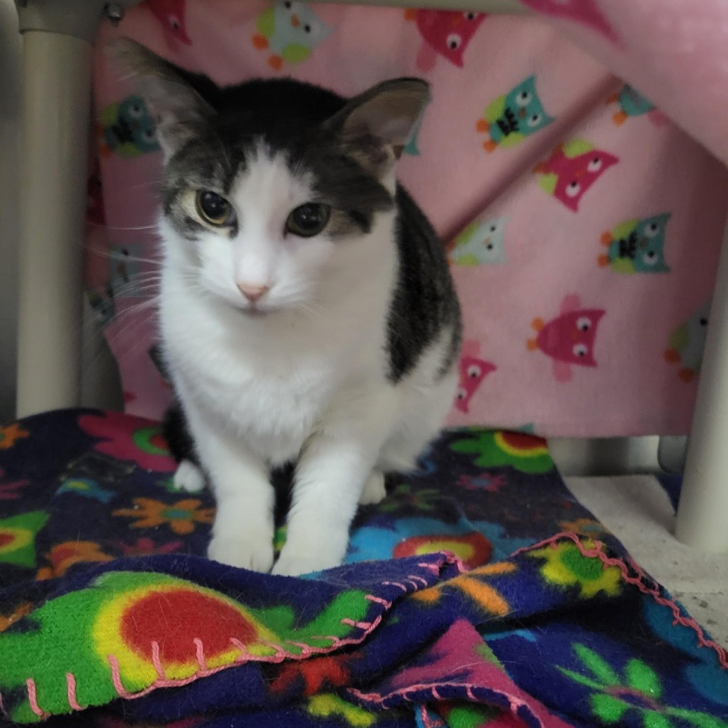 Macy's — thumbnail 2