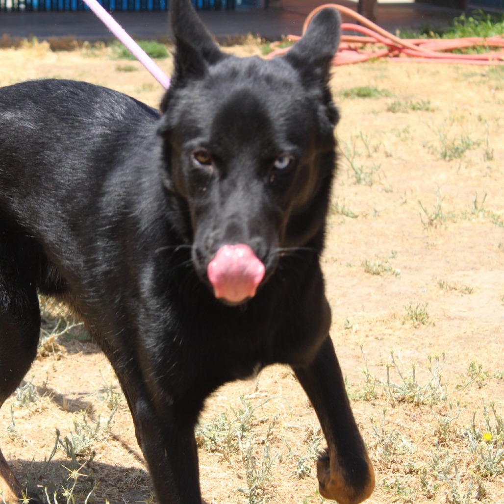 Jax's preview photo