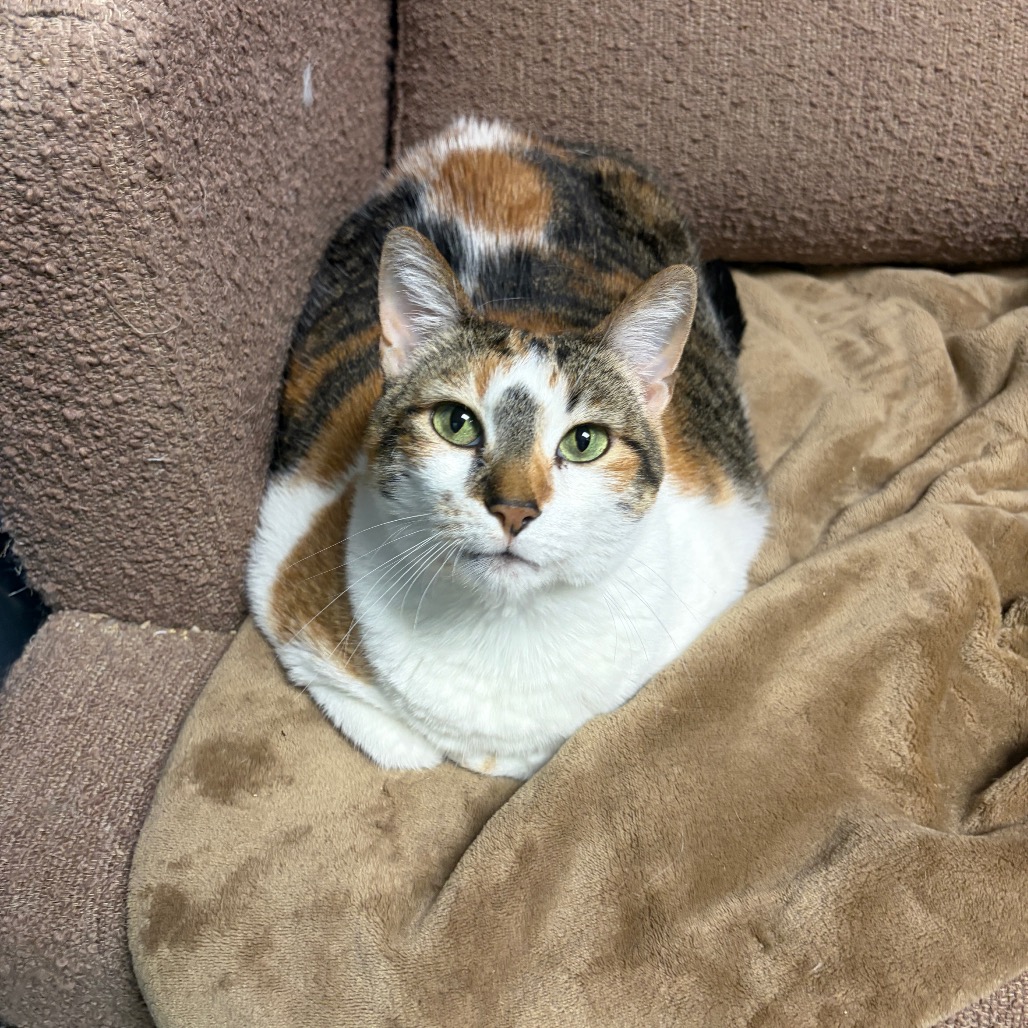 Lumpalicious, photo 15