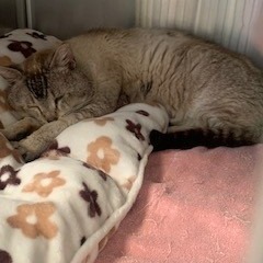 C#111's preview photo