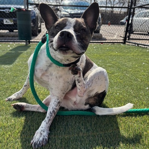 Curious — thumbnail 4