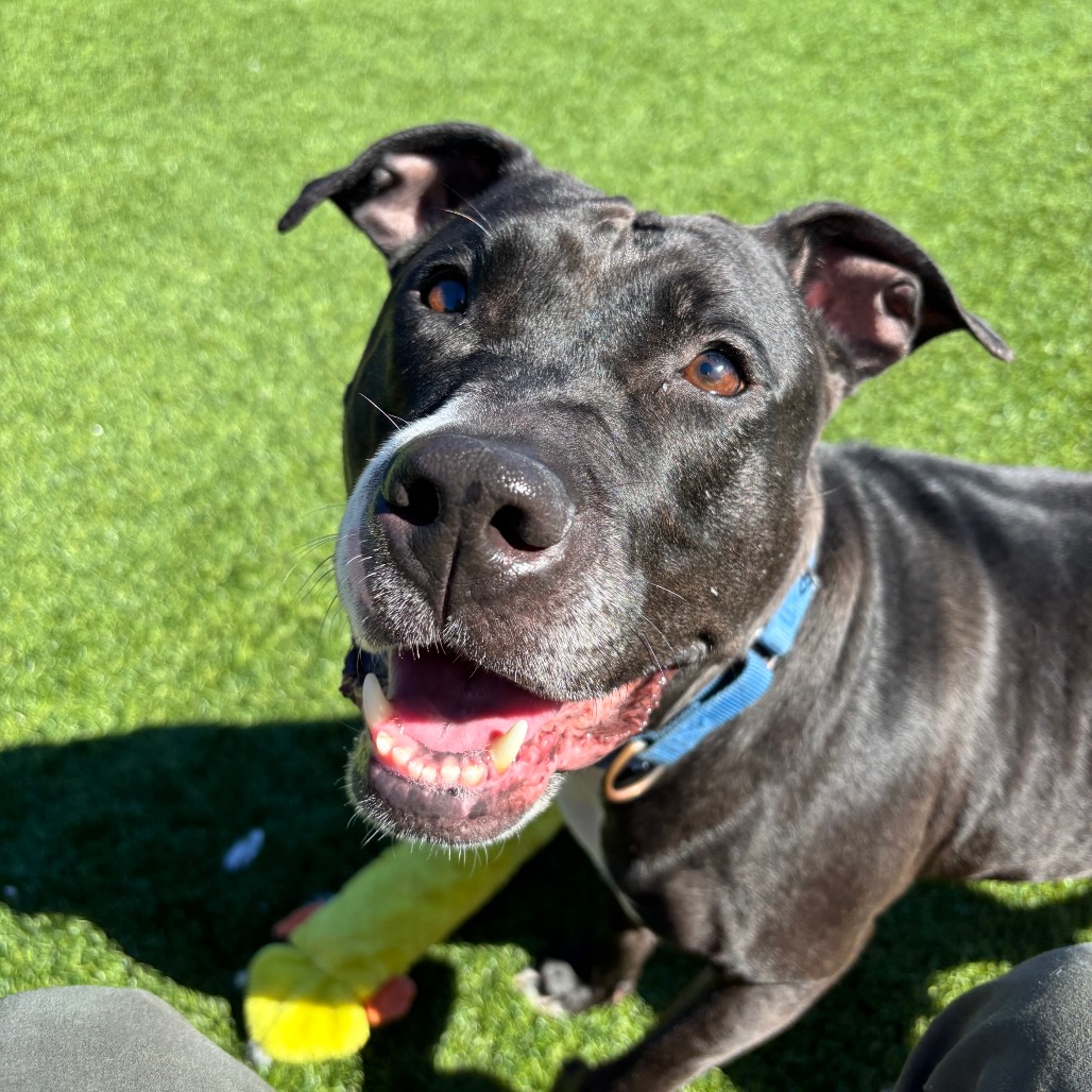 Photo of Ygritte  11