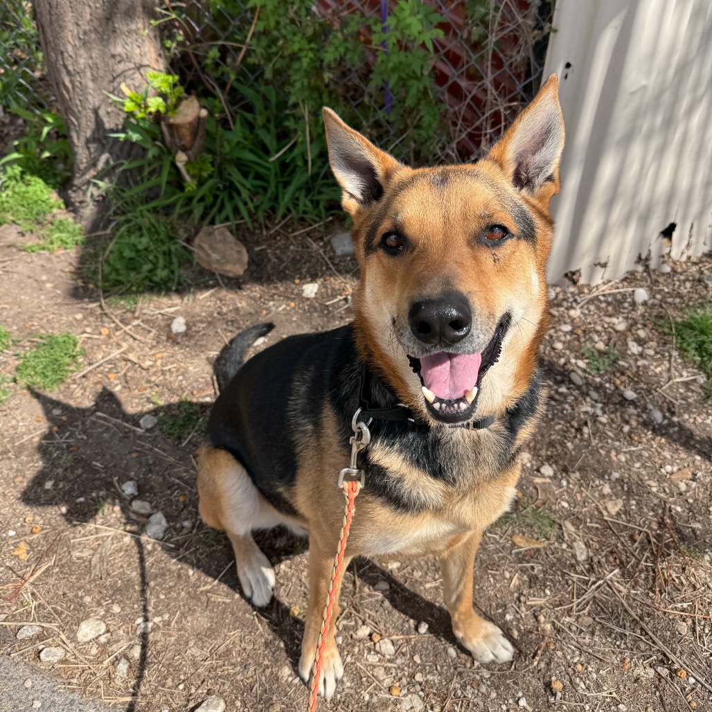 Jackson Pollock — thumbnail 7