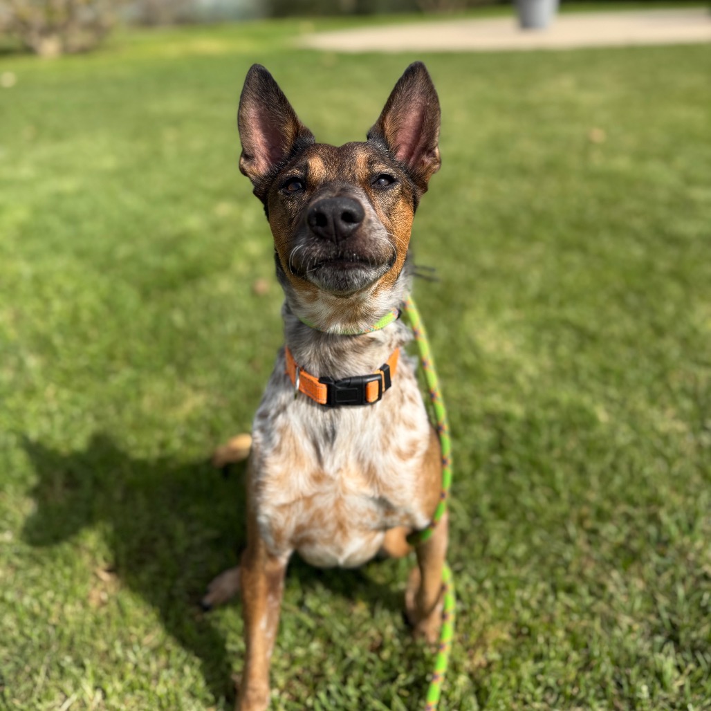 Cash, photo 18