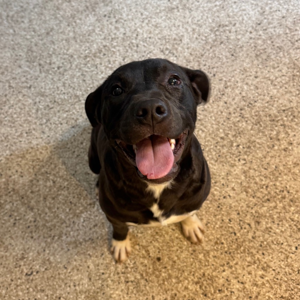 O'Beirne — thumbnail 3