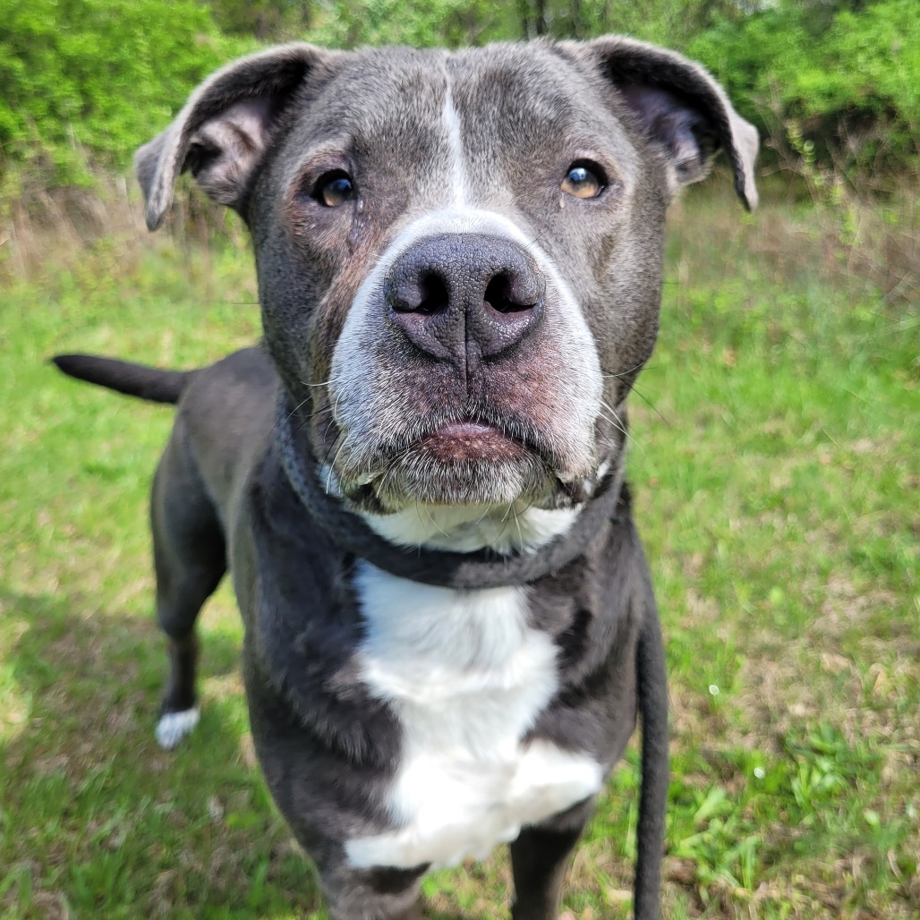 630f85bf24e766318d9b3bbbf7d551f7