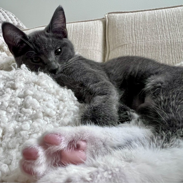Photo of Marie