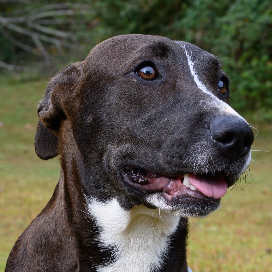 Ruthie, photo 14