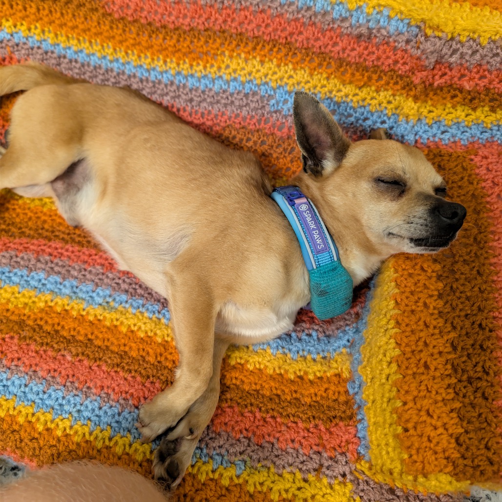 Javier — thumbnail 5