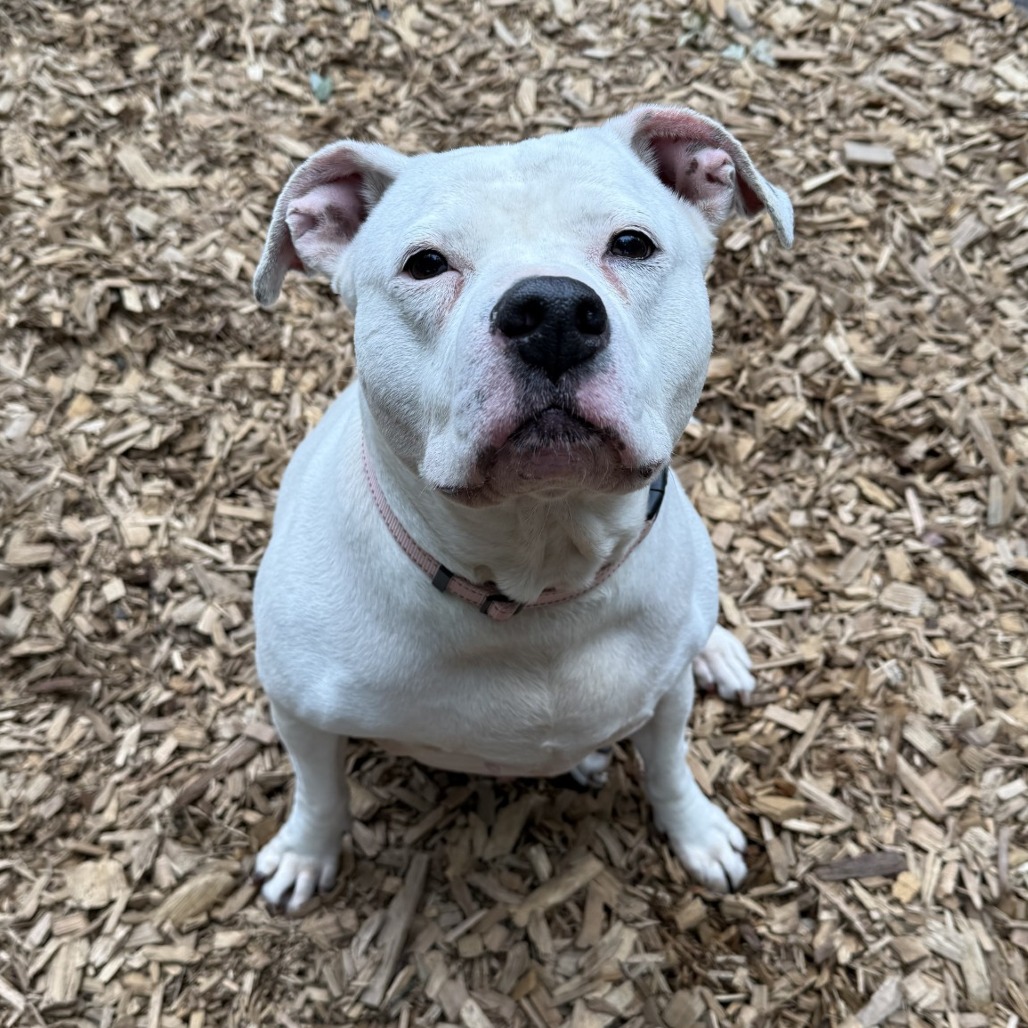 Molly