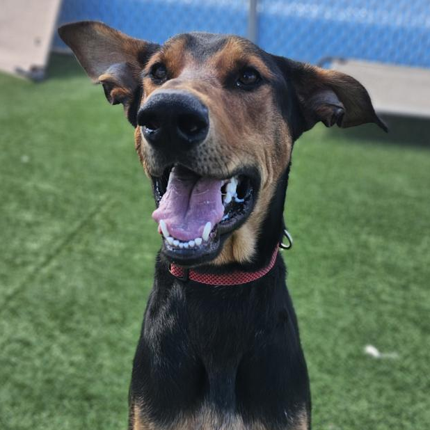 Jax