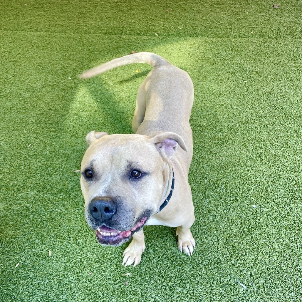 Apollo, photo 13