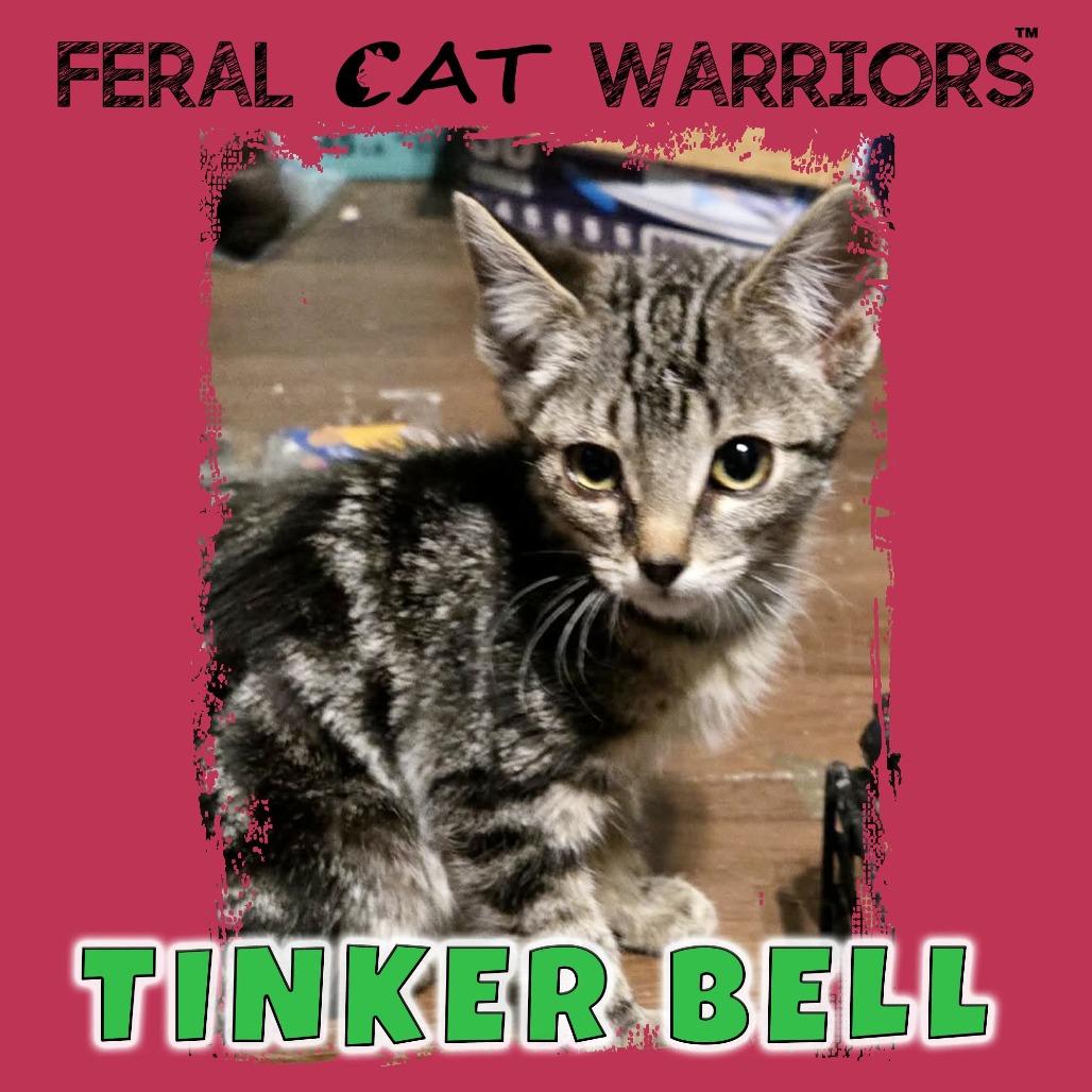 Tinker Bell