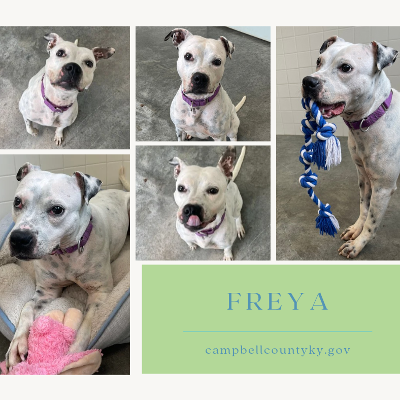 Freya