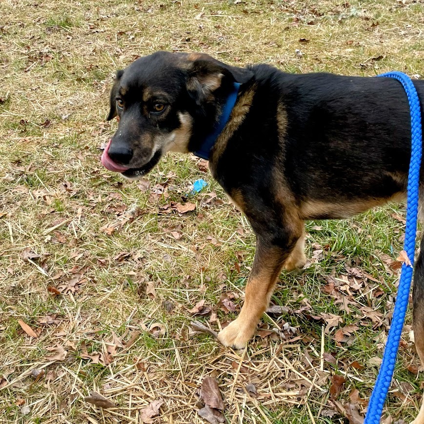 Maverick — thumbnail 5