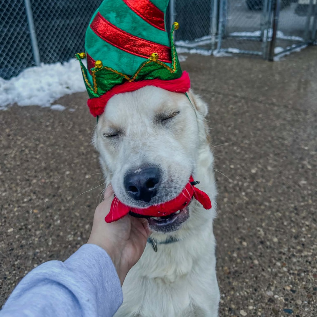 Giuseppe — thumbnail 3