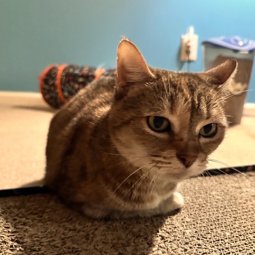 Miss Annie — thumbnail 2