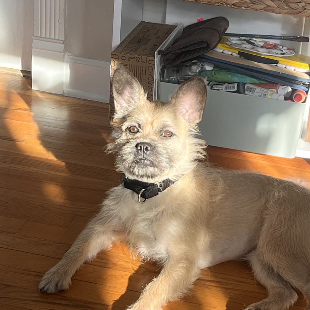 Gloria — thumbnail 5