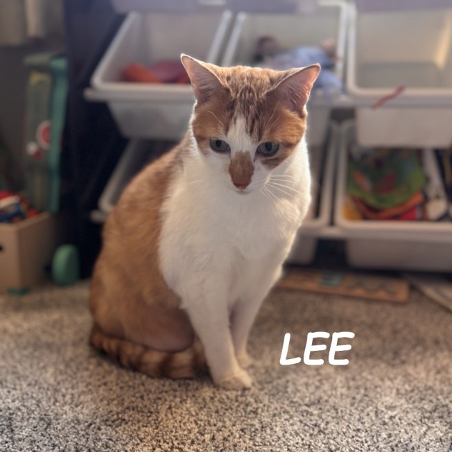 John & Lee (Courtesy Listing) — thumbnail 4