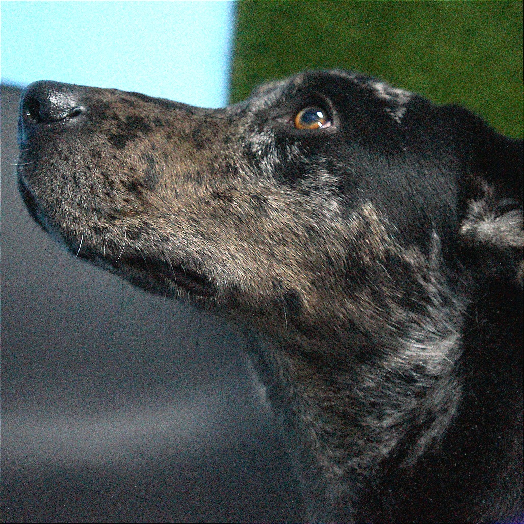 Vicky — thumbnail 10