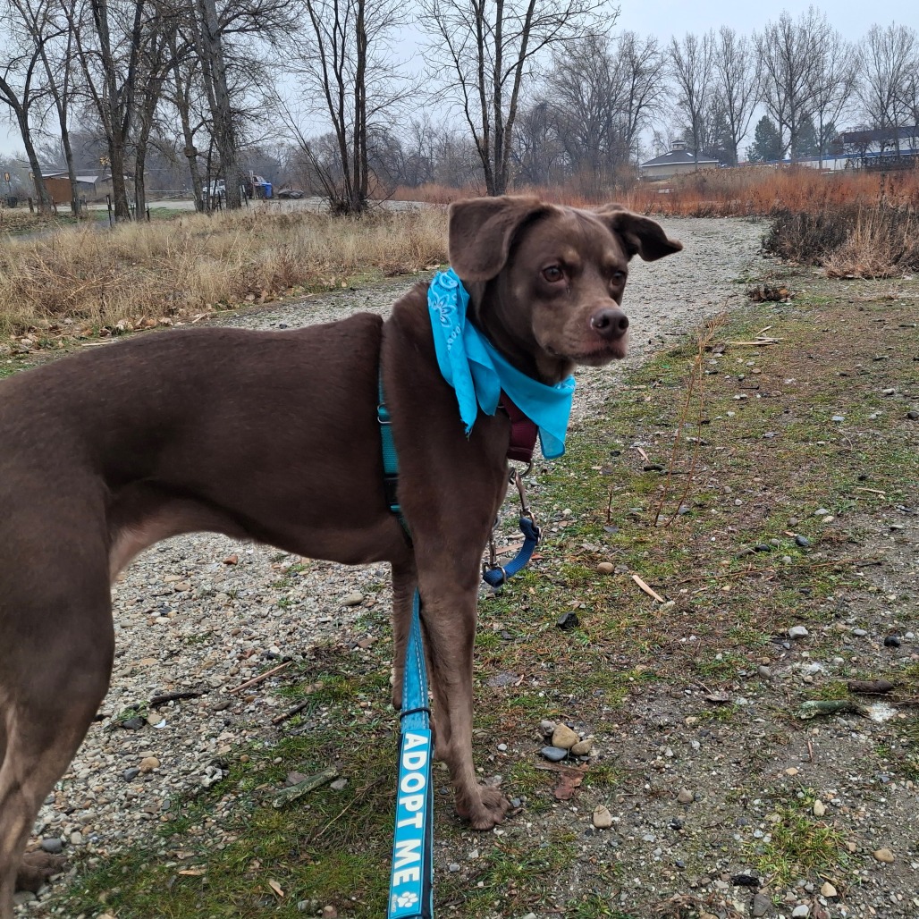 Molly — thumbnail 3