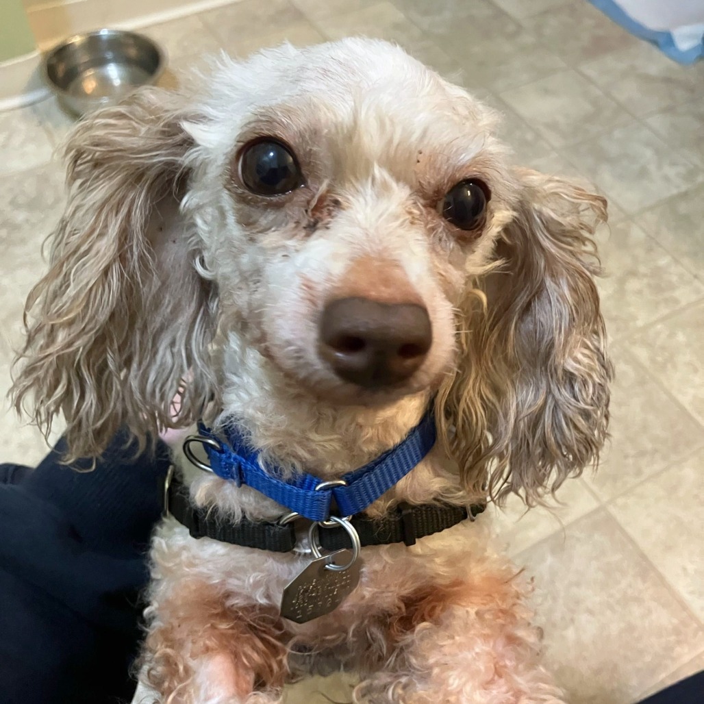 Olivia — thumbnail 4