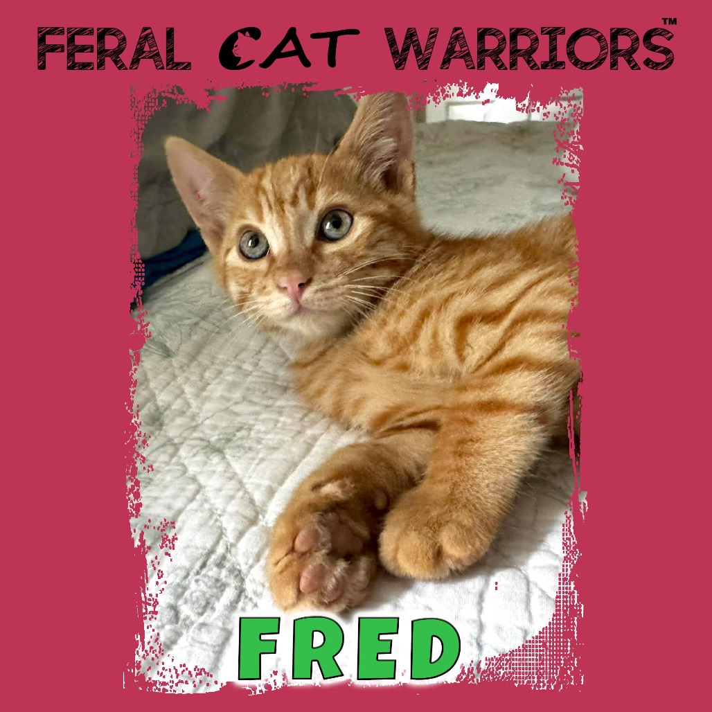 Fred