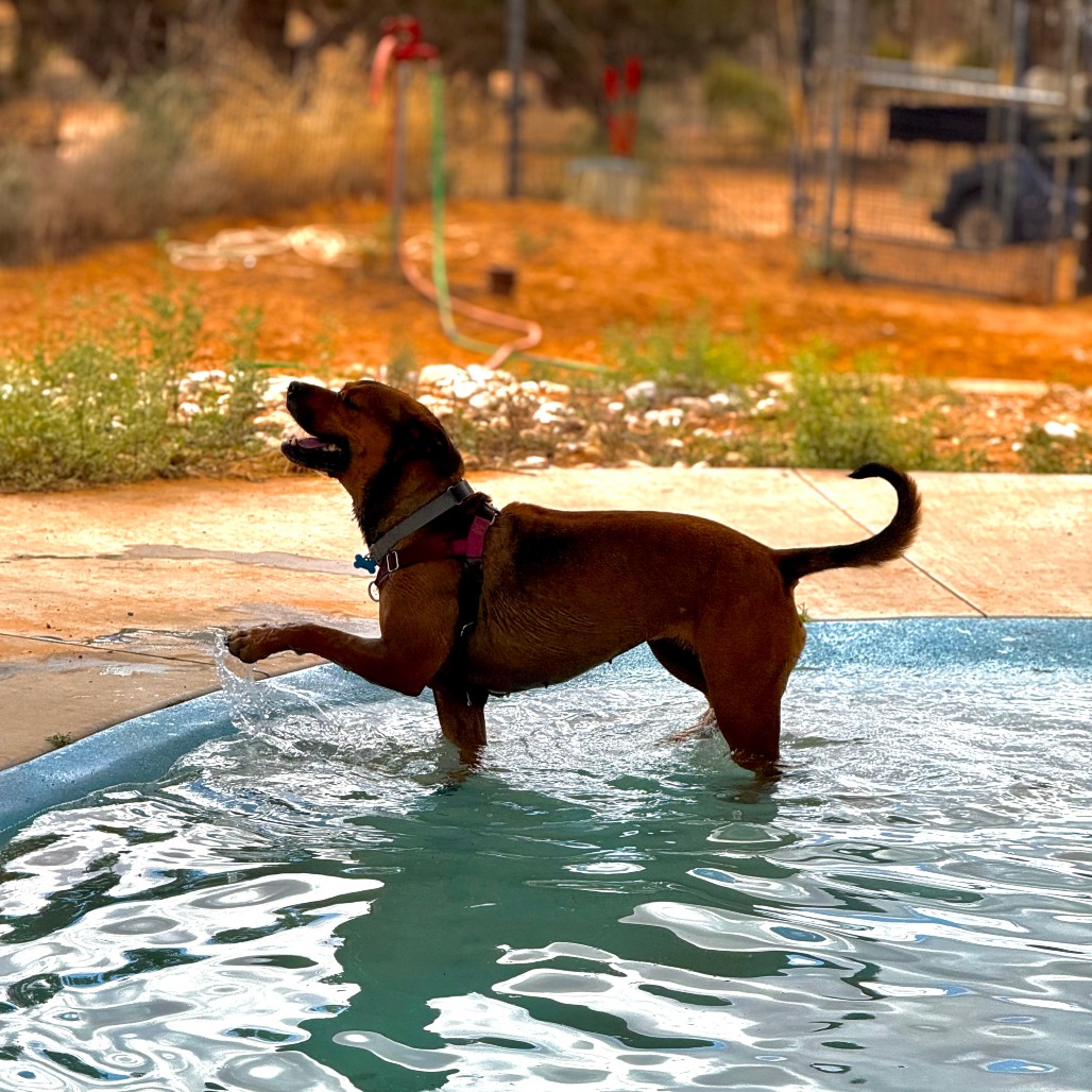 Ember, photo 19