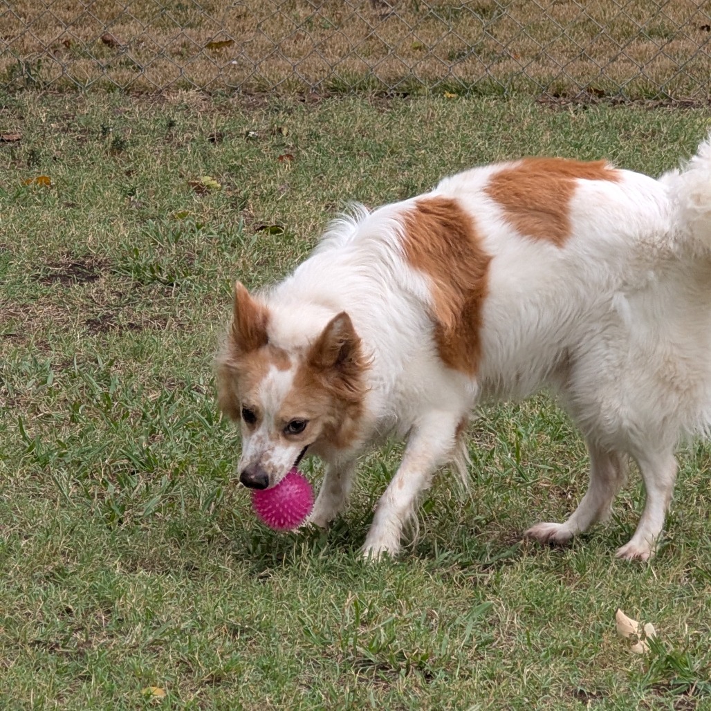 Sandy photo 29