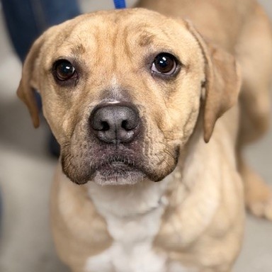 Kennel#15(Love Bug)'s preview photo