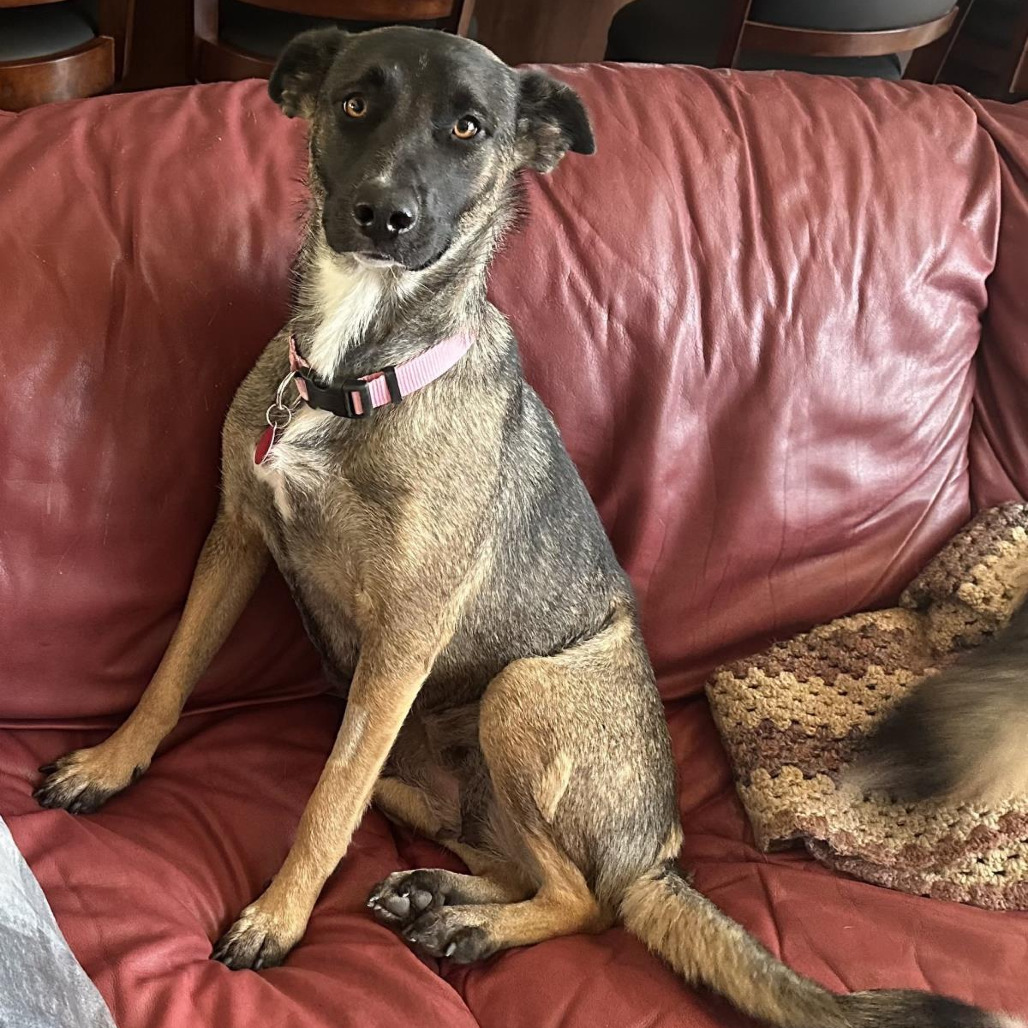 Rita