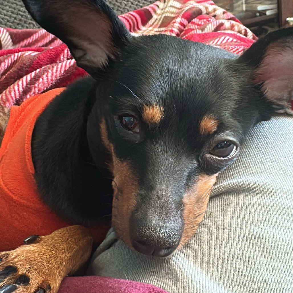 Daisy-In Foster — thumbnail 10