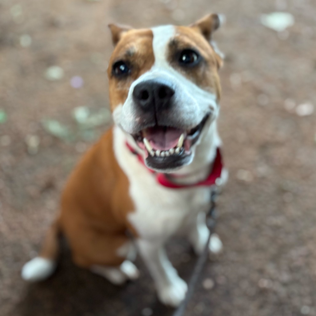 Daisy, additional photo