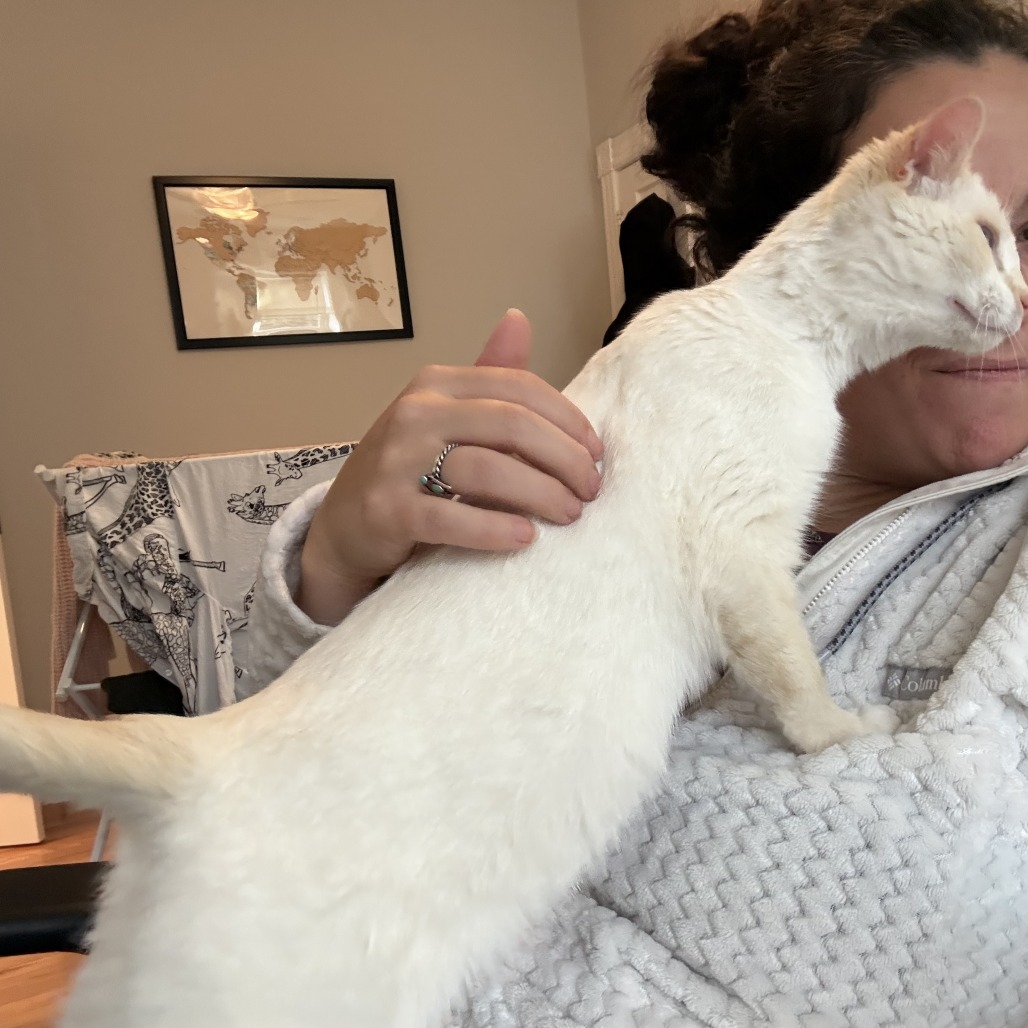 Peach Cobbler — thumbnail 5