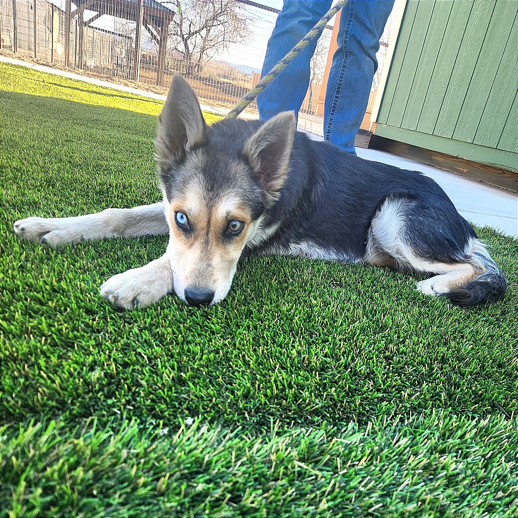 Lita — thumbnail 4